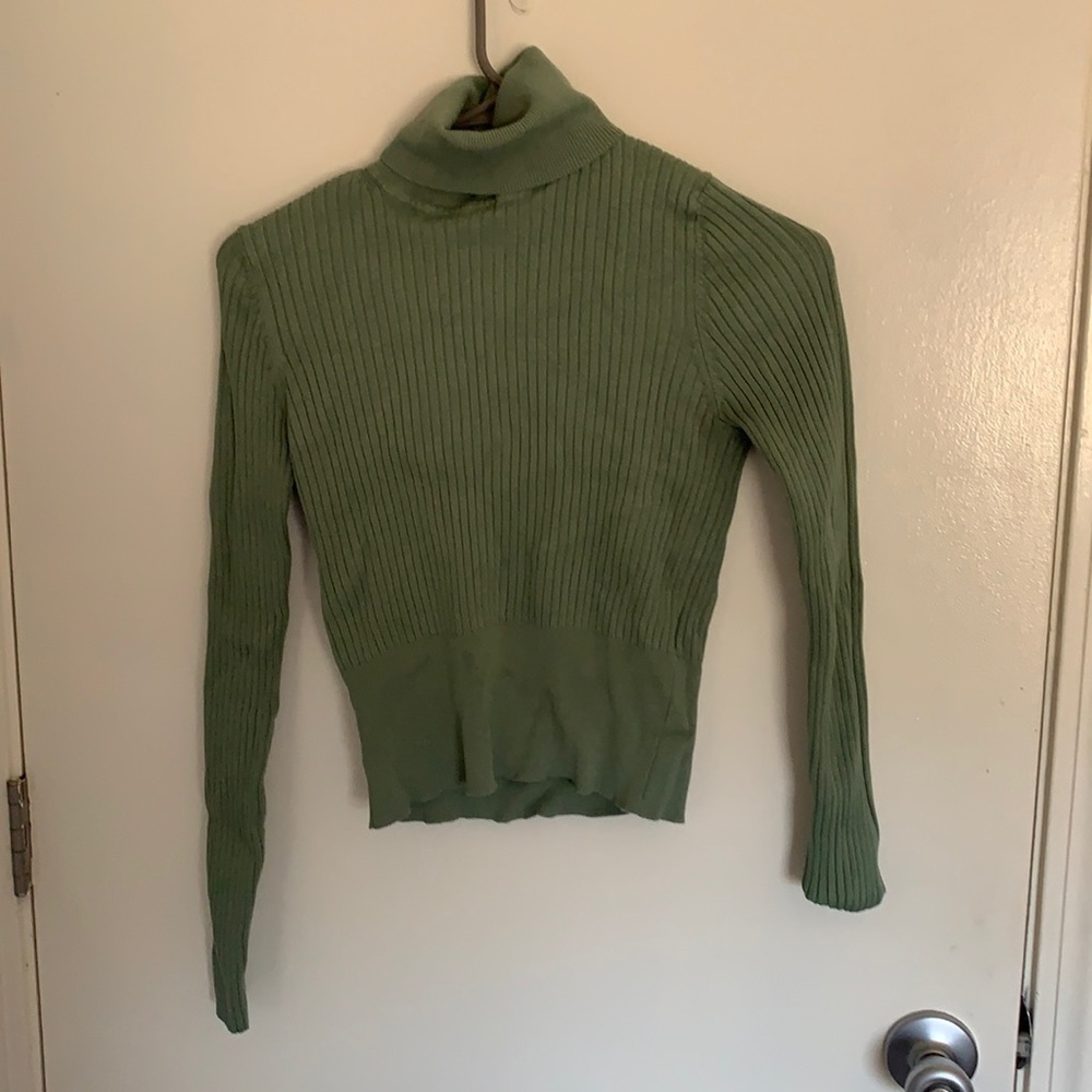 Zara Sage Green Turtleneck